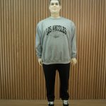 Polera cuello redondo de franela